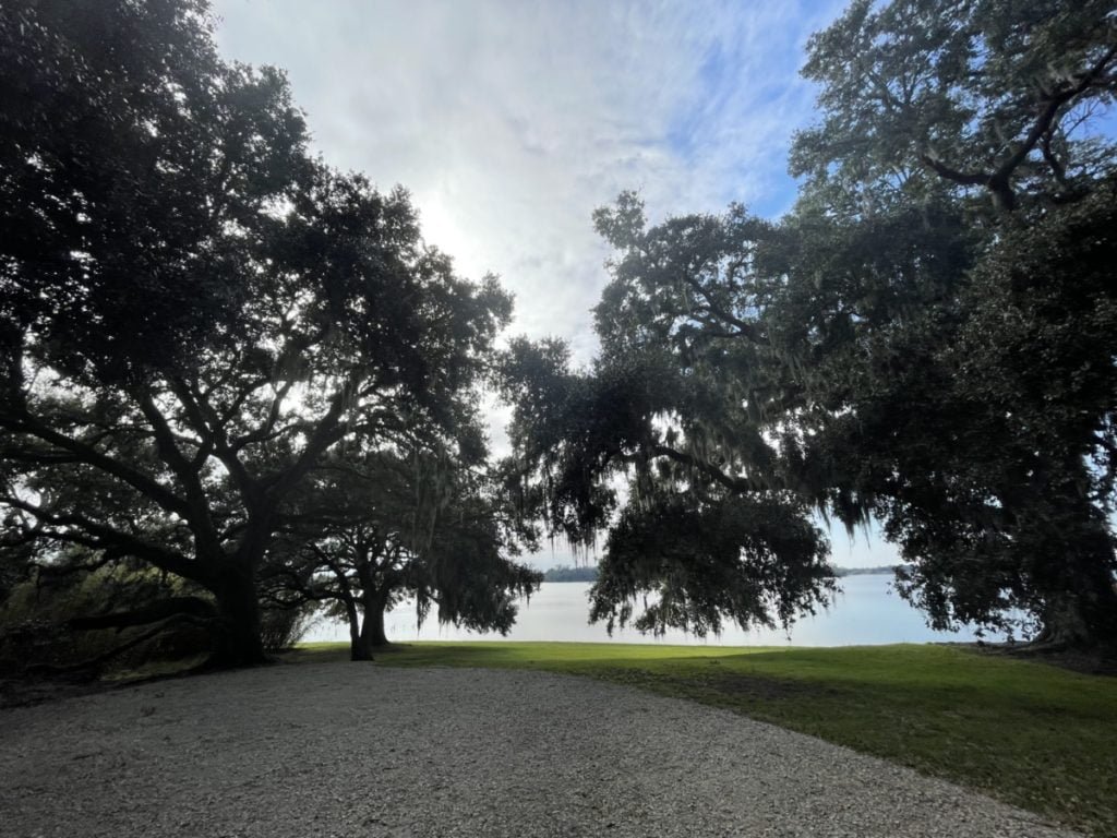 trees on the banks of Lake Peigneur