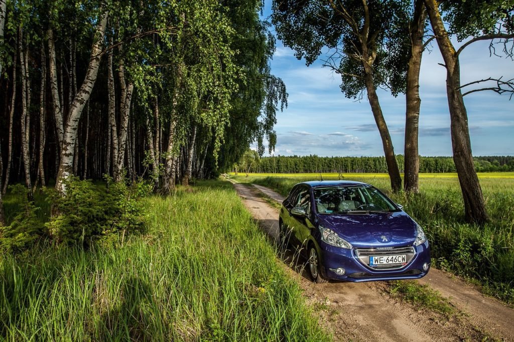 car, forest, nature-6969323.jpg