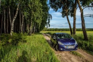 car, forest, nature-6969323.jpg